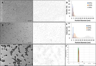 Evaluation of bactericidal effects of silver hydrosol nanotherapeutics against Enterococcus faecium 1449 drug resistant biofilms